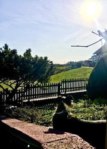 Ausblick vom Vorgarten