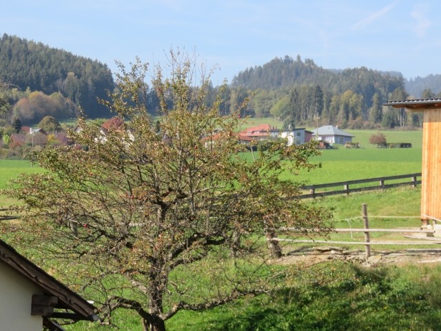 Aussicht vom Balkon