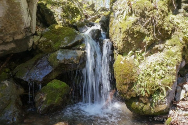 Wasser Wanderweg Liebenfels