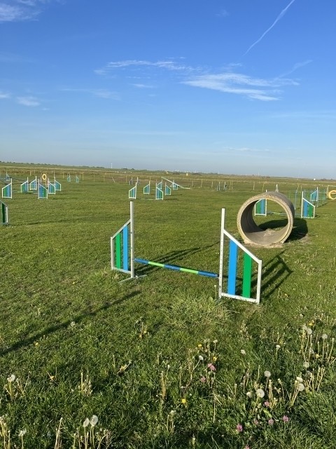 Agylityplatz am Strand 
