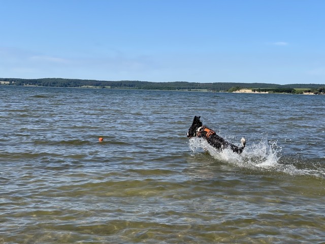 Am Naturstrand ist Spaß für Zwei- und Vierbeiner garantiert.
