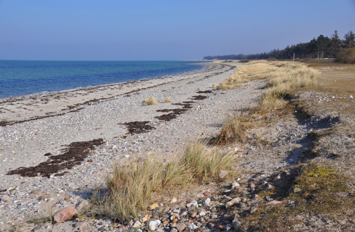 Strand Wenkendorf