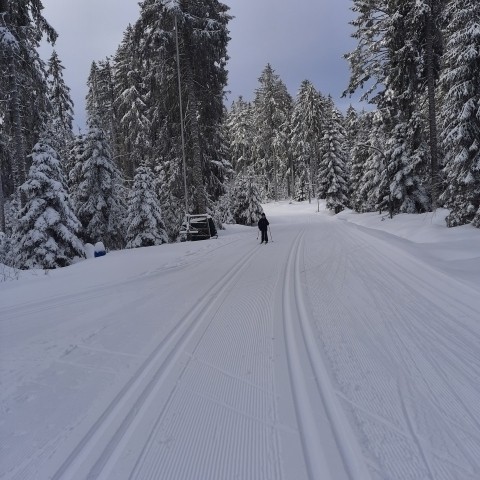 Lanflaufloipen Schwarzwaldhochstraße