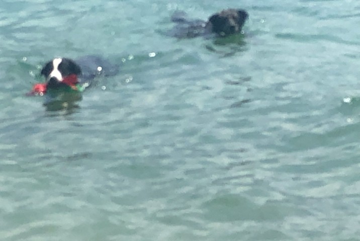 Baden und Spaß