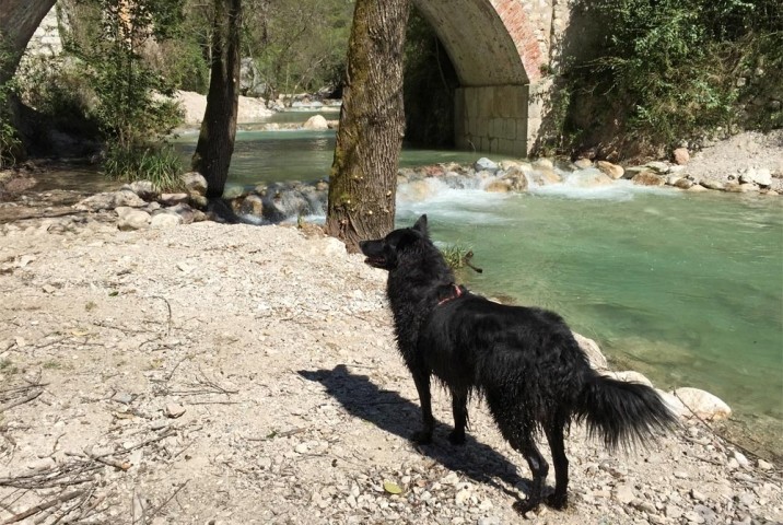 Im Papiermühlental