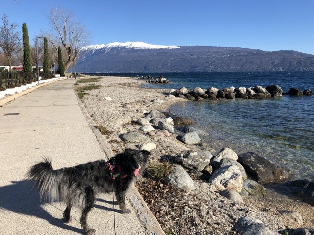 Spazieren in Maderno (nach der Fähre)