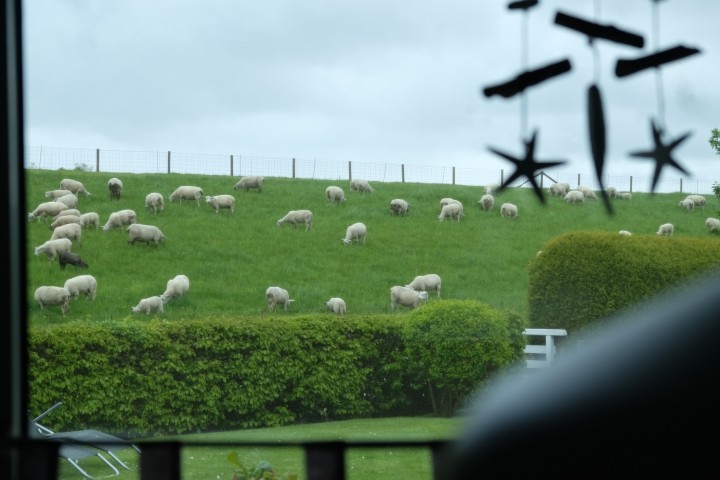 Küche mit Deichblick