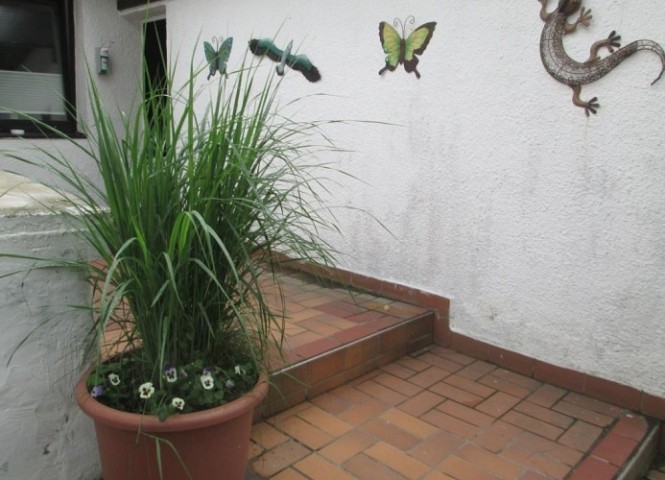 Eingang