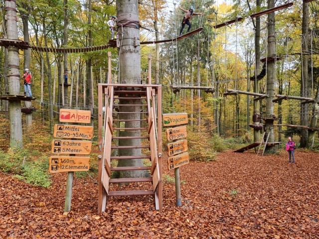 Kletterwald in der Nähe
