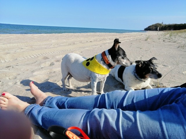 Am Strand von Thiessow auf Rügen
