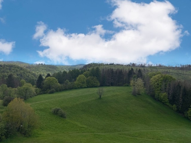 Ausblick
