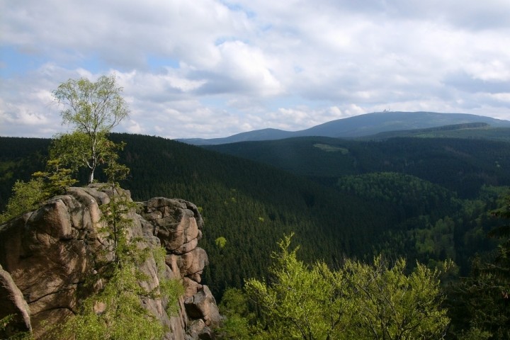 Ausblick