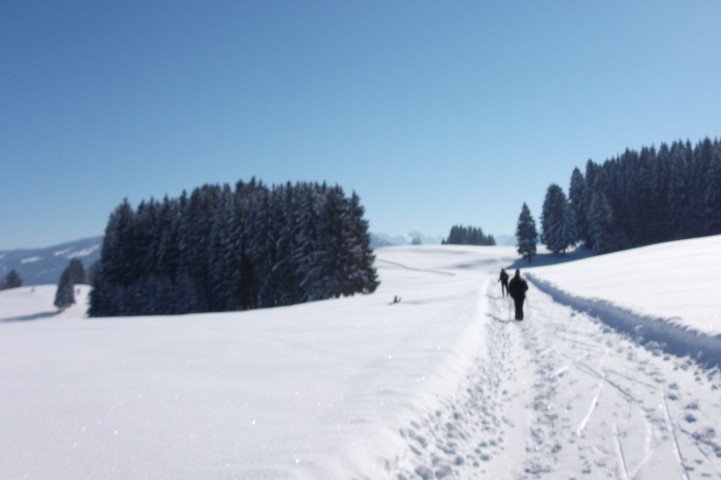 Umgebung