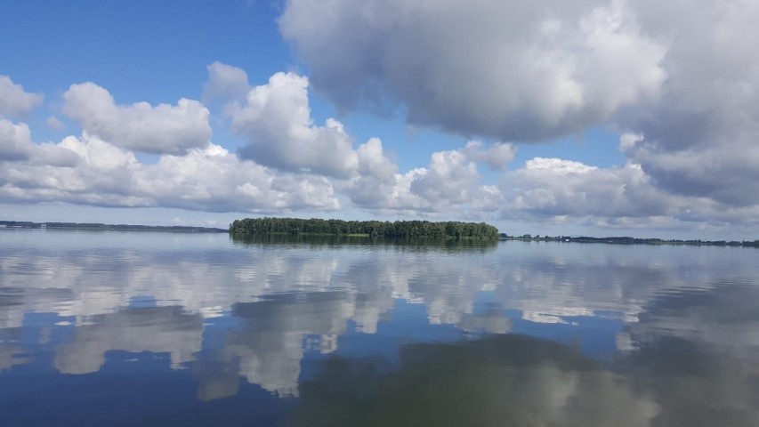 Insel 