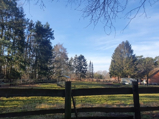 Aussicht von der Einfahrt aus
