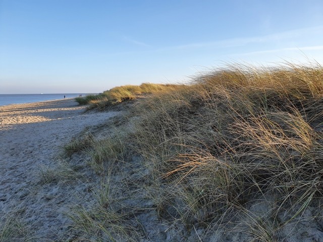 am Strand