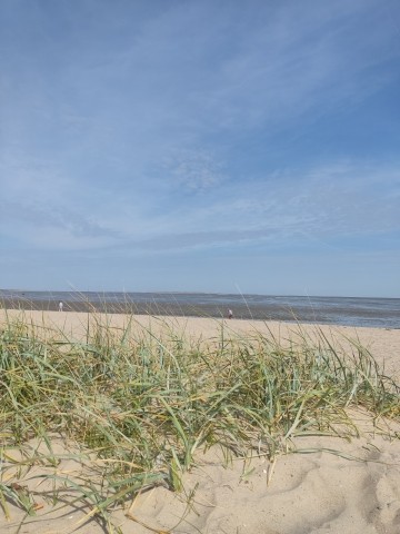 Dünenlandschaft