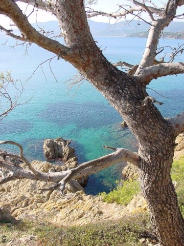 Cap Lardier