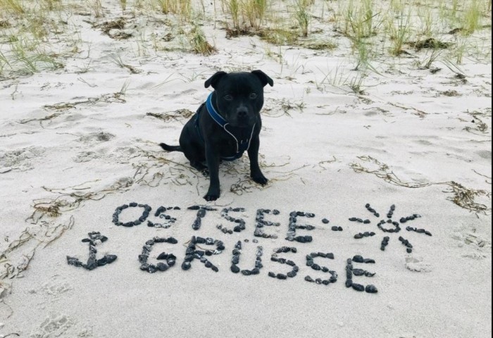 Ostsee Strand Impressionen