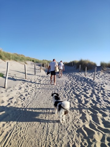 ...der Weg zum Meer