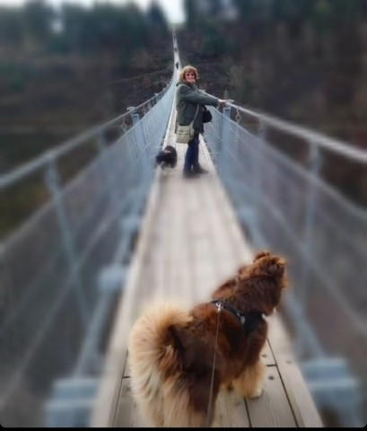 Geierlay Hängeseilbrücke Mörsdorf 