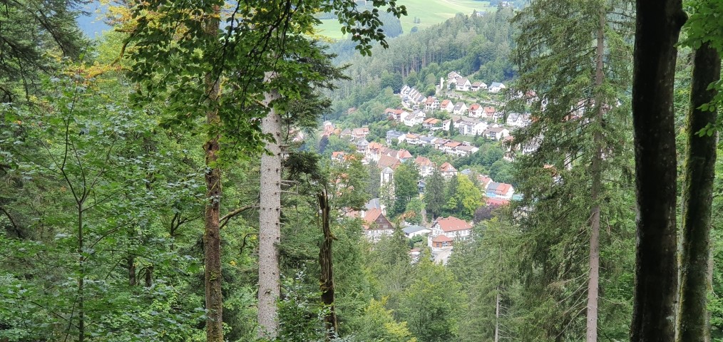 Blick auf Triberg
