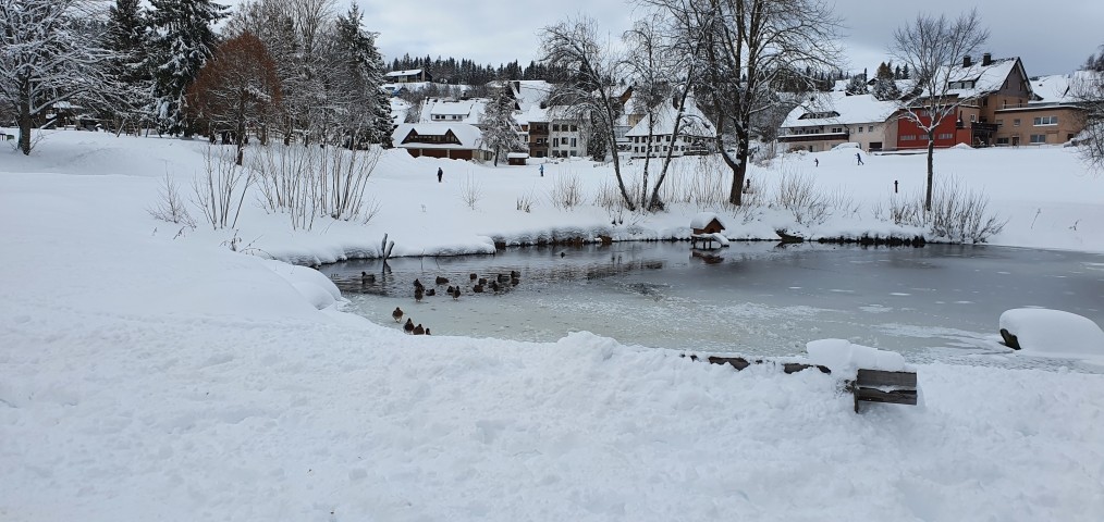 See im Kurpark See im Kurpark