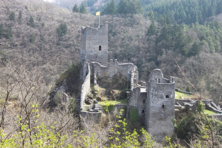 Manderscheider Burgen