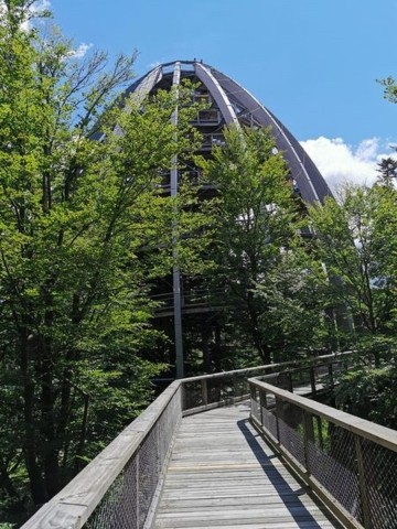 Baumwipfelpfad Neuschönau