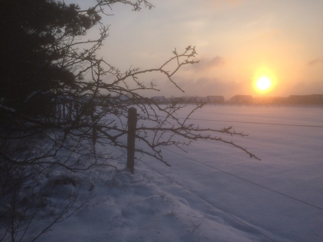 Winterimpression