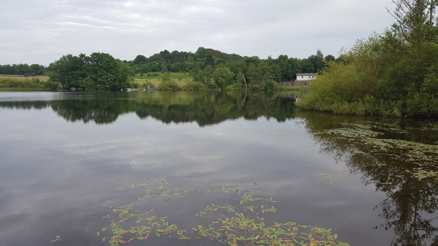 Der Jungferweiher