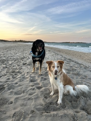 der Strand von Specciola ist in 5km erreicht