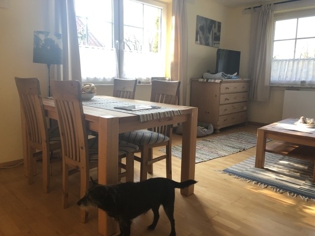 der Essbereich (der Hund gehört nicht zur festen Ausstattung  :-) )