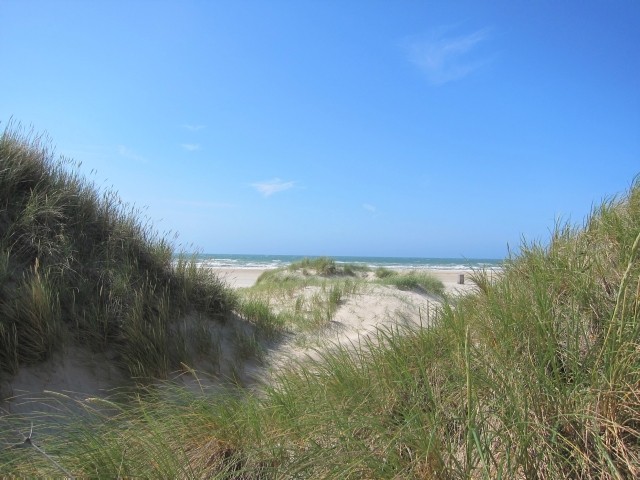 Dünen