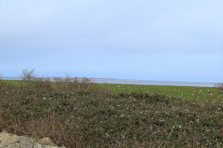 mit Meerblick