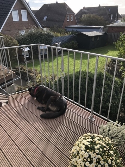Südbalkon