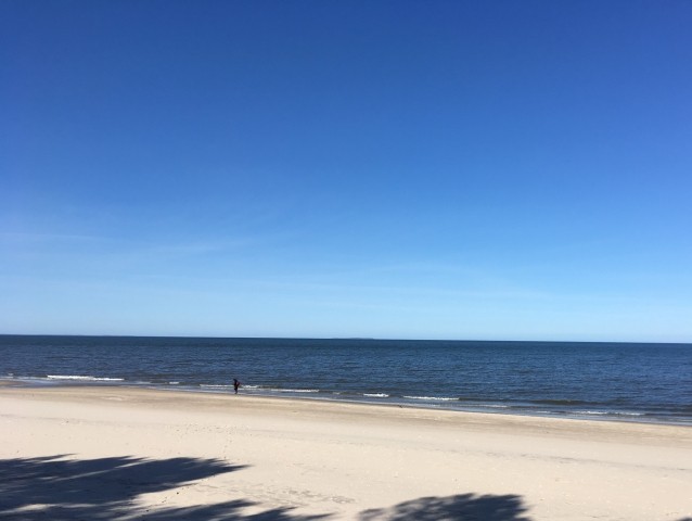 Hundestrand