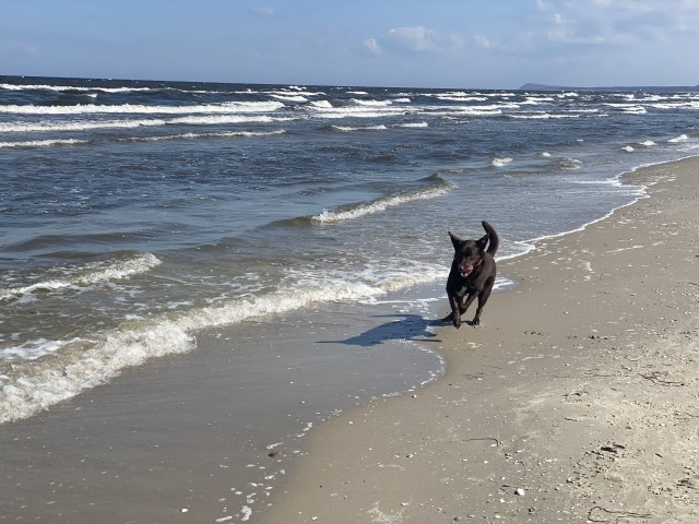 Cora am Strand