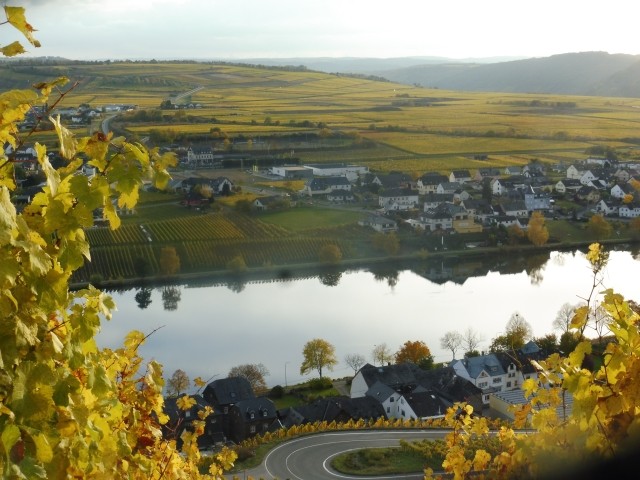 Moselblick