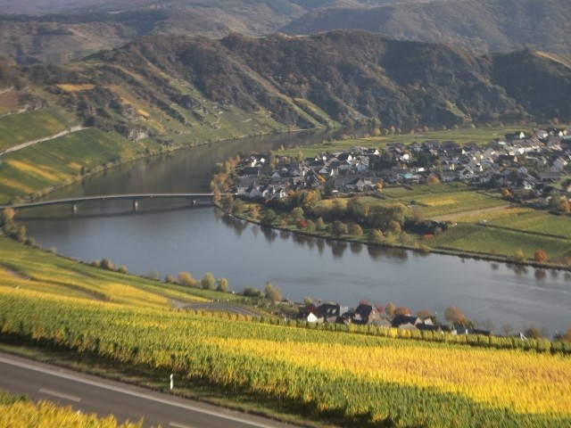 Moselblick