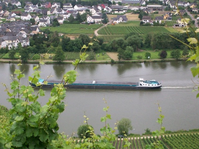 Moselblick
