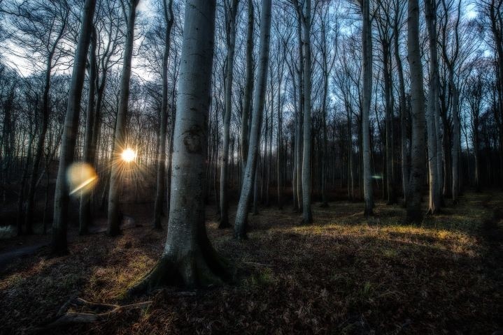 Rügen Natur