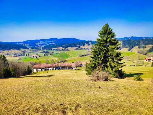 Blick vom Berg runter auf den Ferienpark