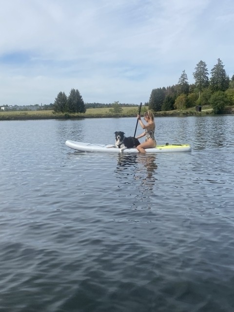 Standup paddle board mit Hund