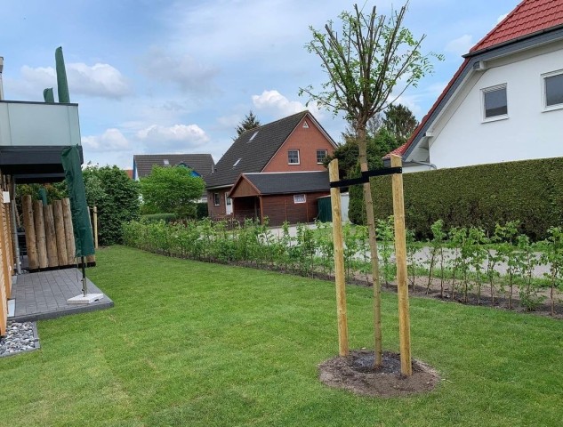 Gartenansicht 