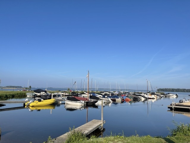 Teilansicht vom Hafen im Park