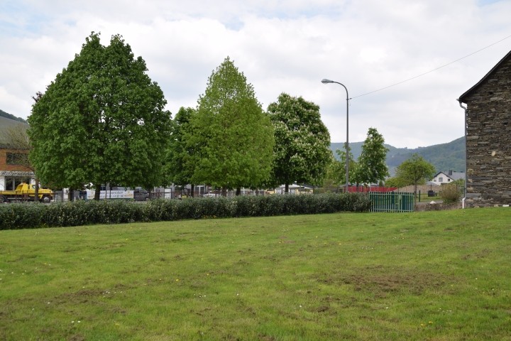 viel grün drumherum