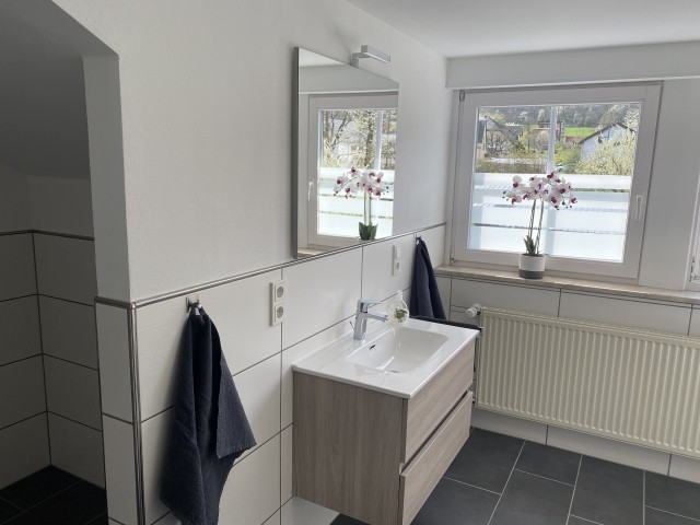 neues großes Badezimmer mit großer Dusche