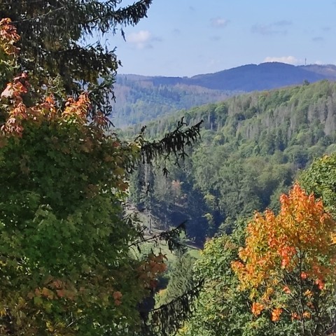 Blick vom Garten ins Tal 