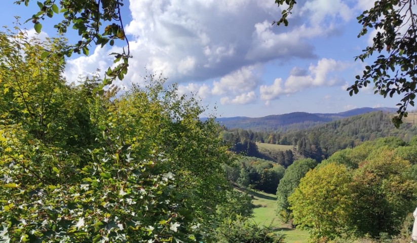 Bergwiesen und Wanderwege in der Nähe